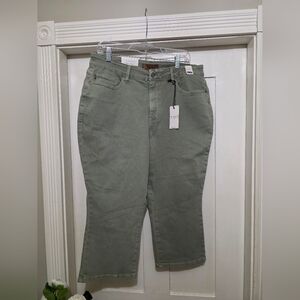 Judy Blue Sage Capri Size 16w